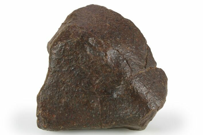 Chondrite Meteorite ( g) - Unclassified NWA #256619